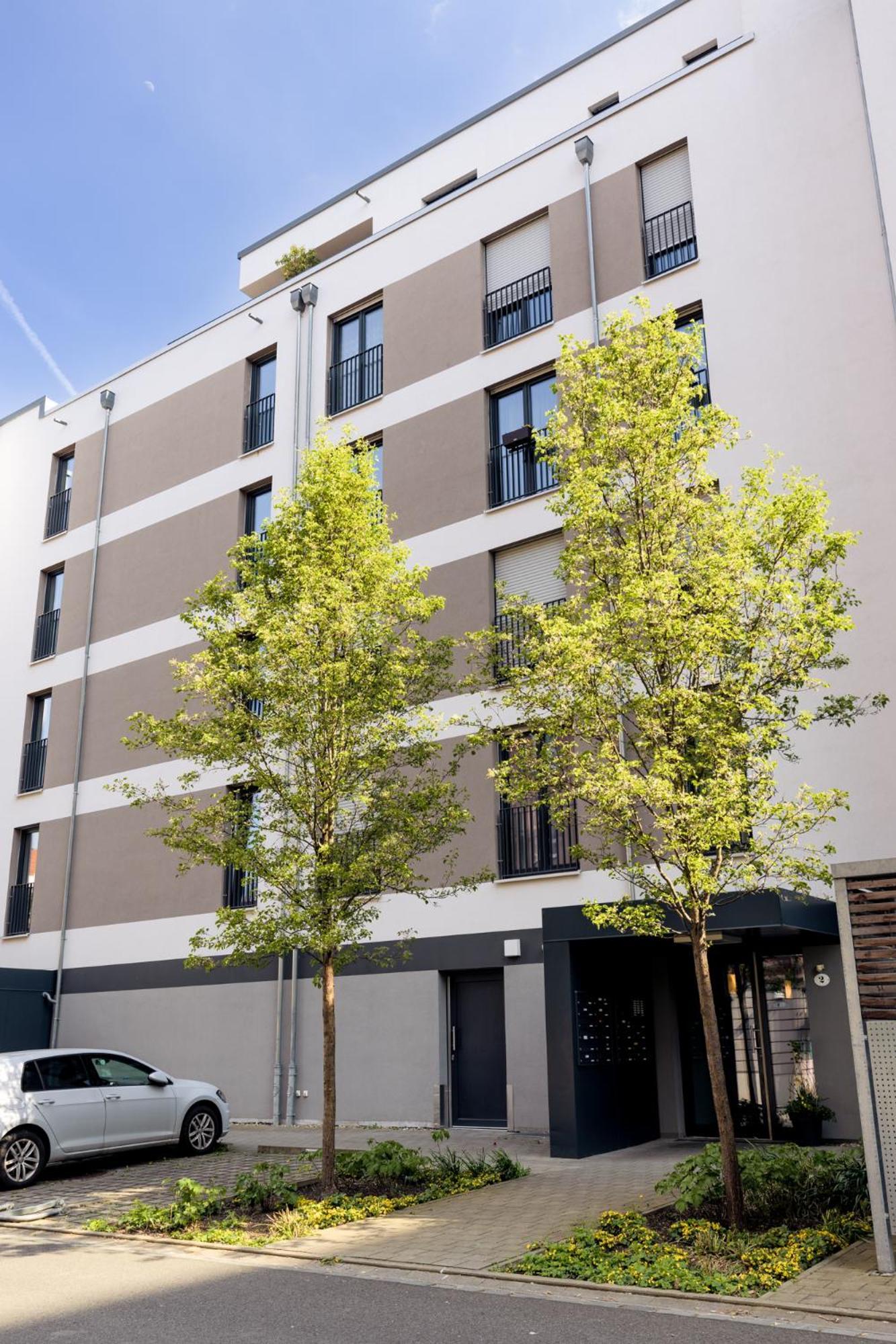 Pineapple Apartments Dresden Zwinger I - 80 Qm - 1X Free Parking エクステリア 写真